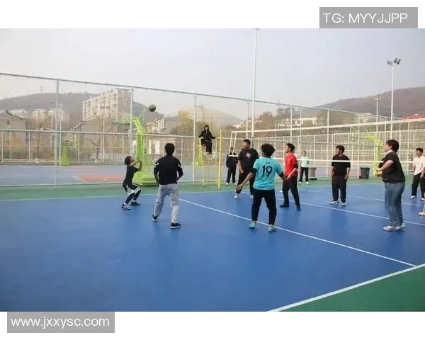 北京排球队阵地战革新探索新战术提升竞技水平与团队协作能力