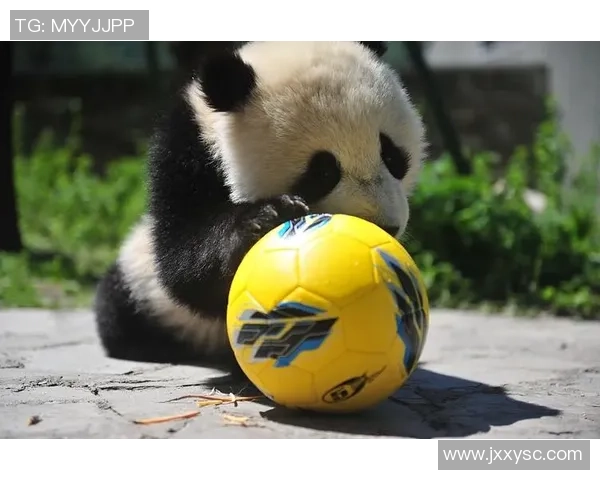 动物世界的足球明星们如何在绿茵场上展现非凡才华与魅力